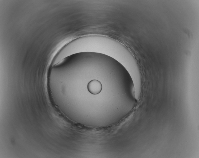 X0000113550148200910161442