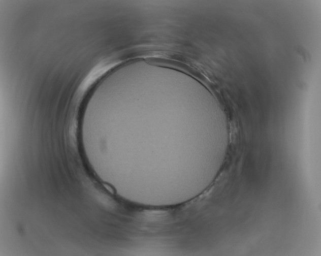 X0000113550150200910161442