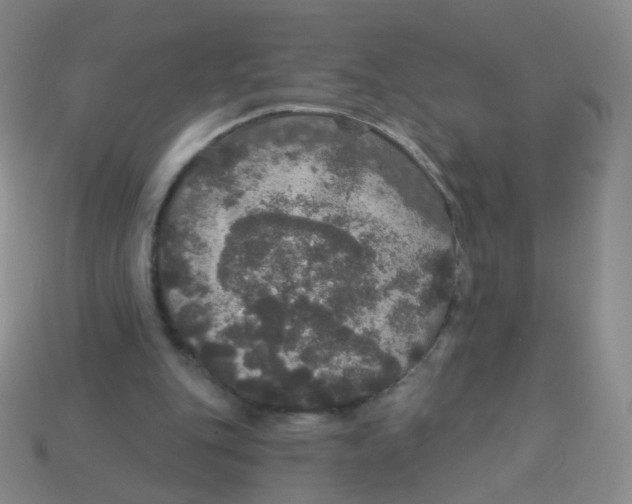 X0000113550151200910161442