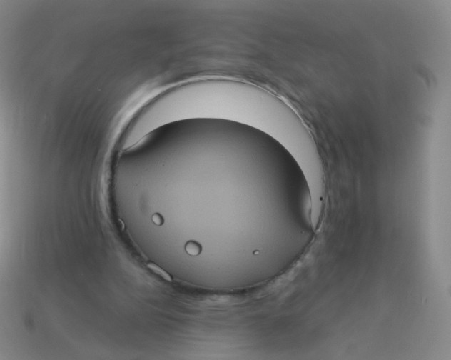 X0000113550152200910161442