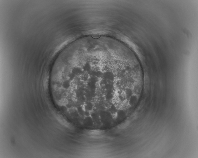 X0000113550153200910161442