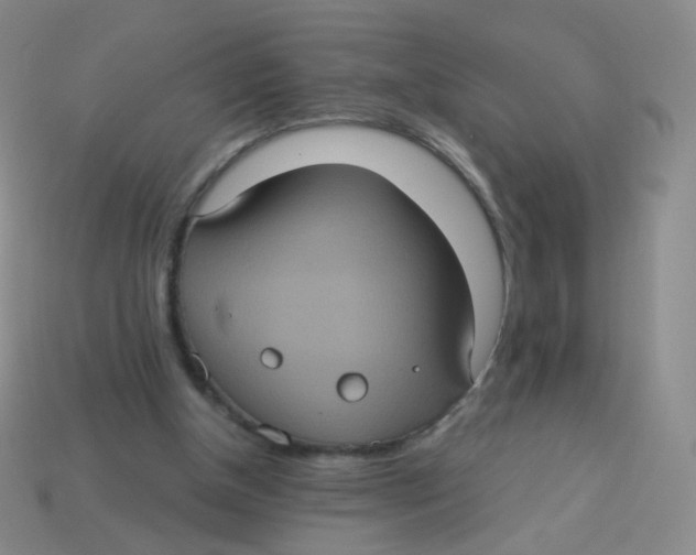 X0000113550154200910161442