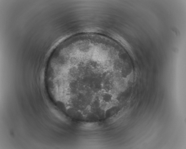 X0000113550155200910161442