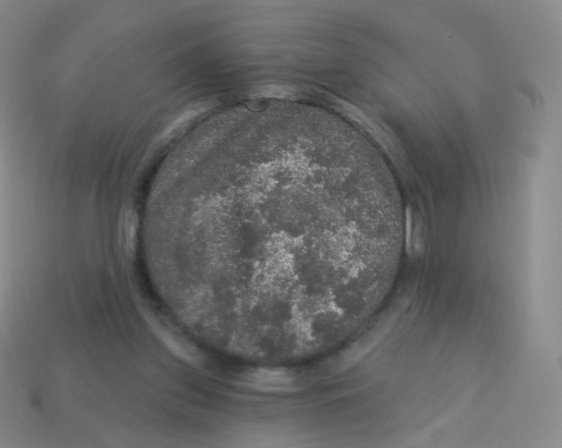 X0000113550157200910161442