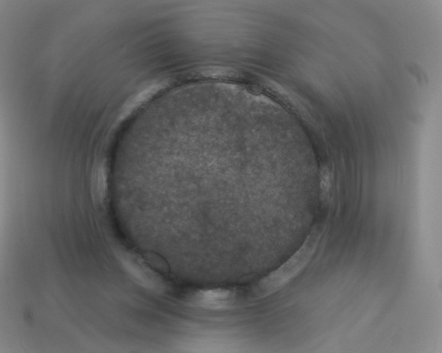 X0000113550158200910161442