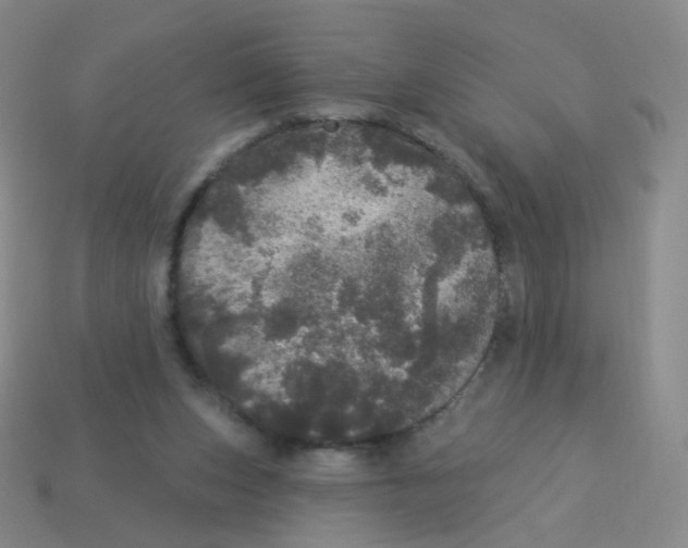 X0000113550159200910161442