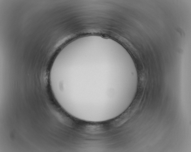 X0000113550160200910161442