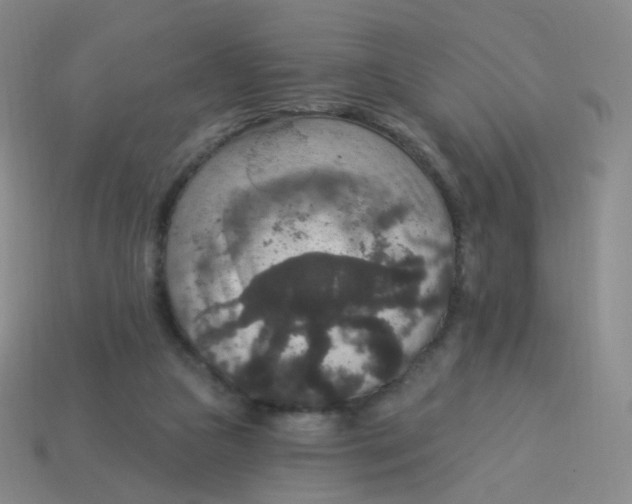 X0000113550161200910161442