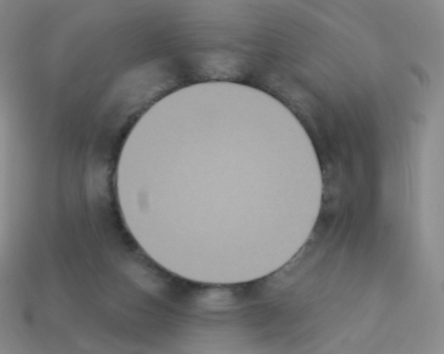 X0000113550162200910161442