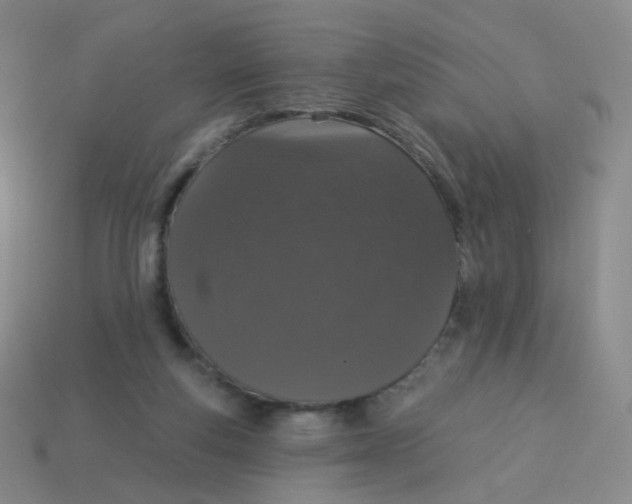 X0000113550163200910161442