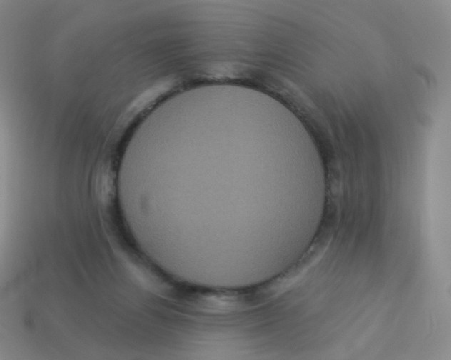 X0000113550164200910161442