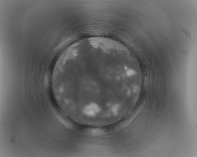X0000113550165200910161442