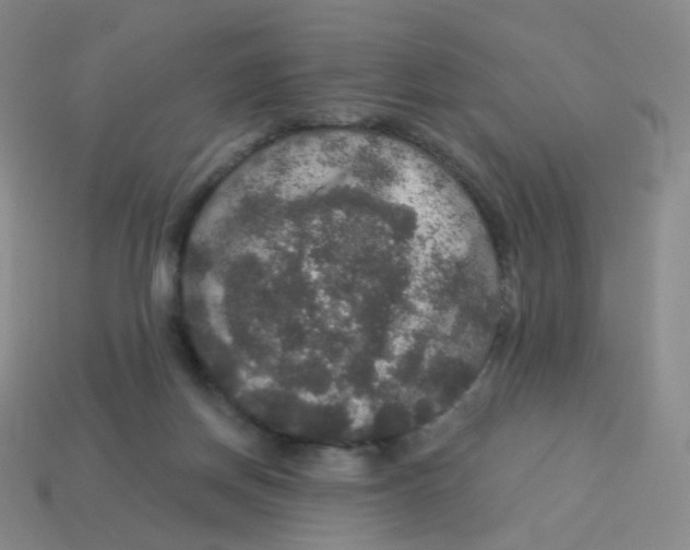 X0000113550166200910161442