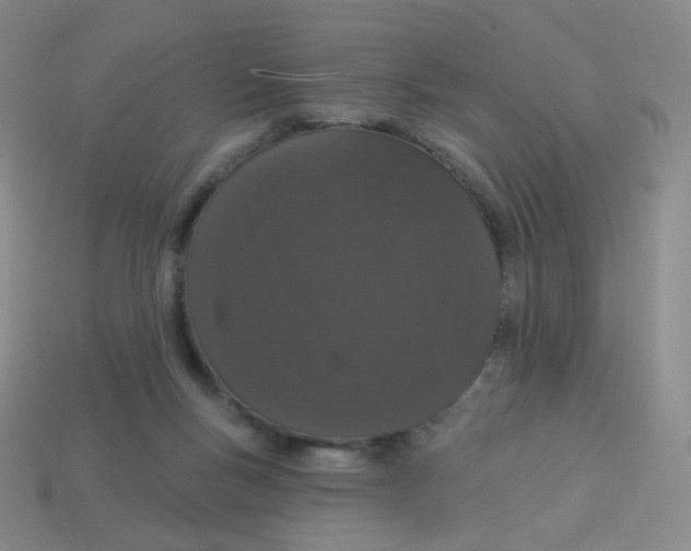 X0000113550167200910161442