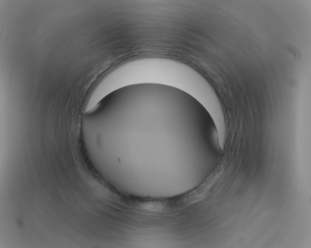 X0000113550168200910161442