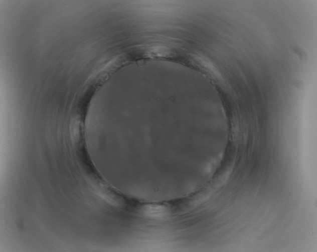 X0000113550169200910161442