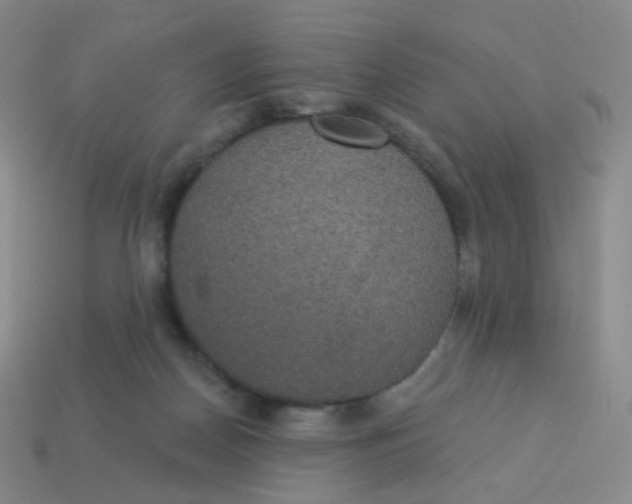 X0000113550170200910161442
