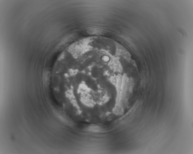 X0000113550171200910161442