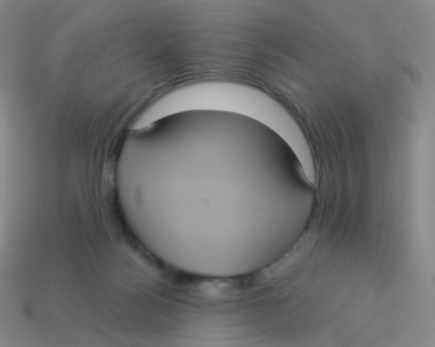X0000113550172200910161442