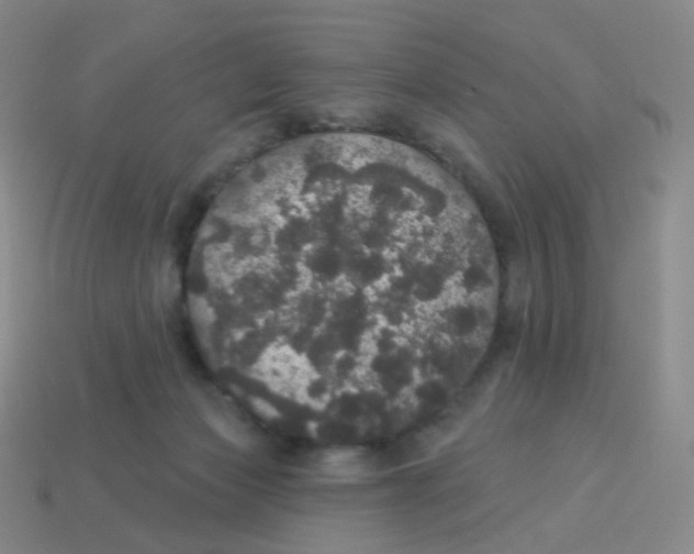 X0000113550173200910161442