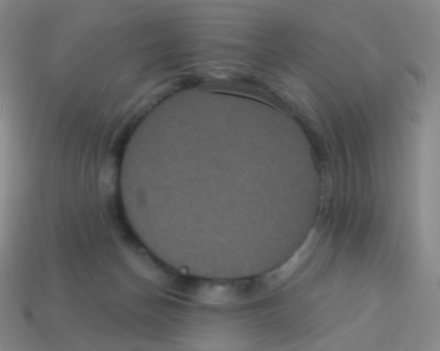 X0000113550174200910161442
