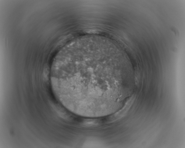 X0000113550175200910161442