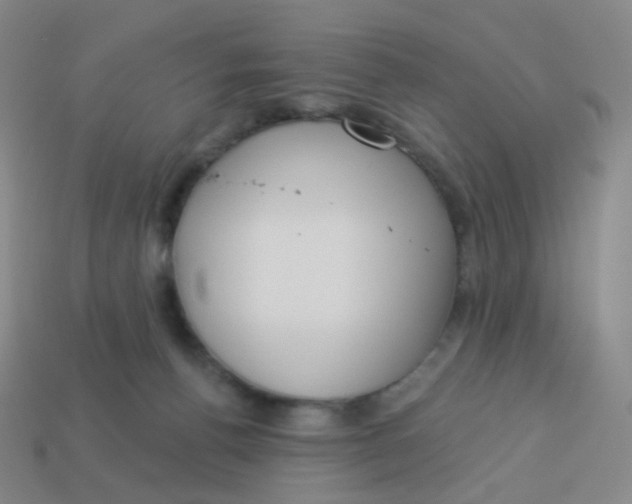 X0000113550176200910161442