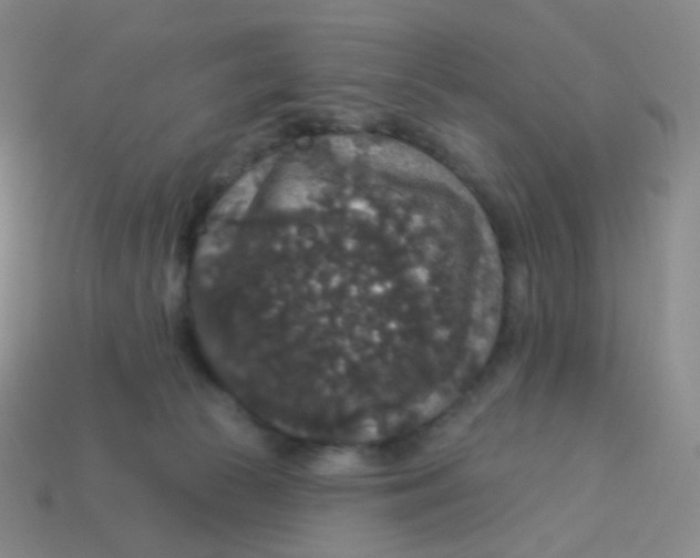 X0000113550177200910161442