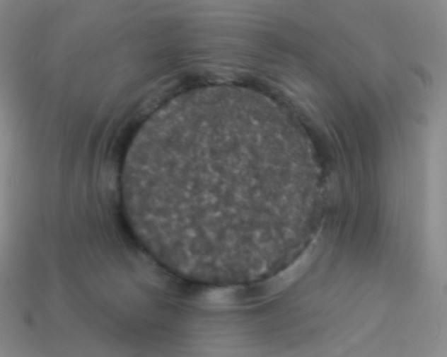X0000113550178200910161442