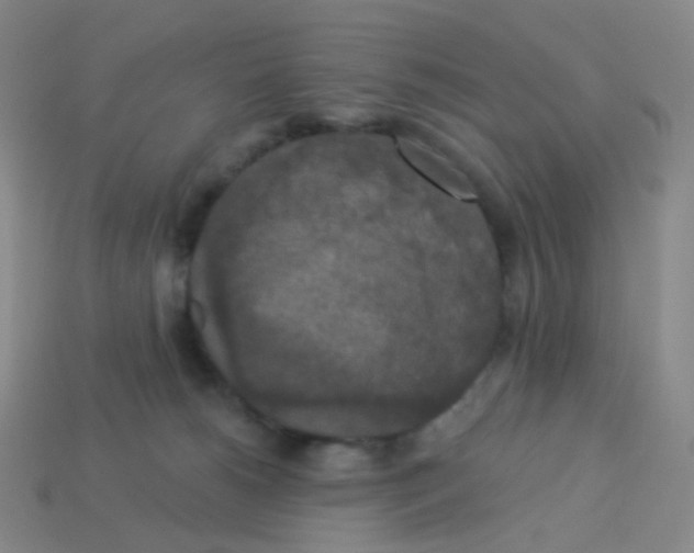 X0000113550180200910161442
