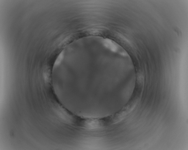 X0000113550181200910161442