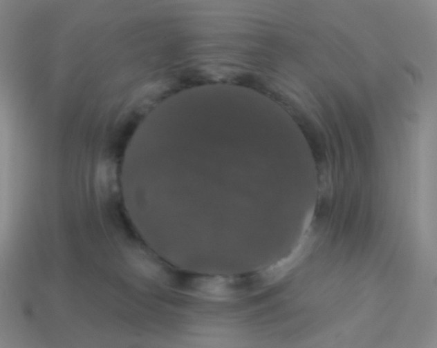 X0000113550182200910161442