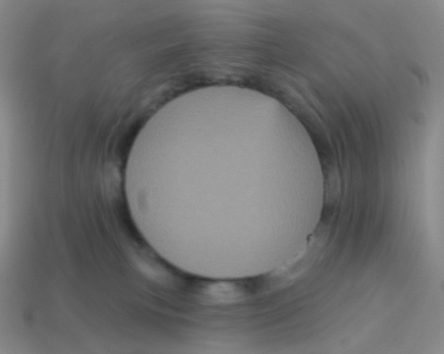 X0000113550183200910161442