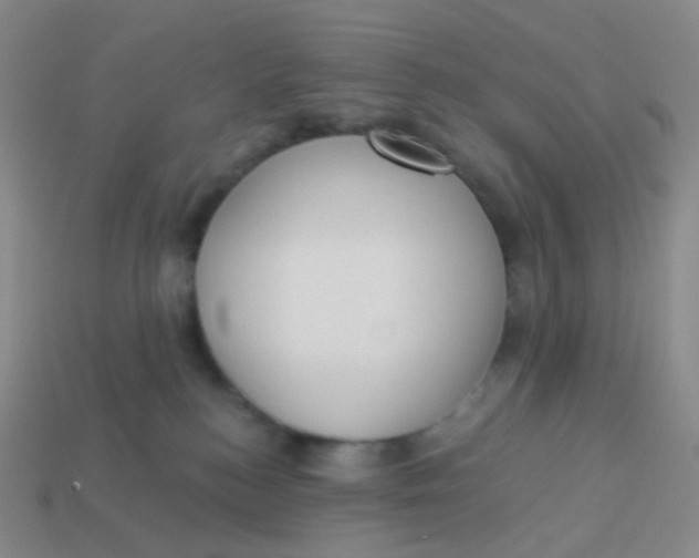 X0000113550184200910161442
