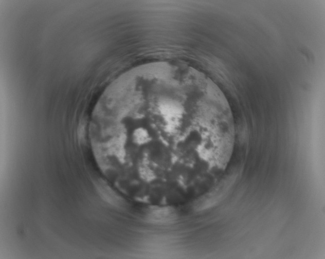 X0000113550185200910161442