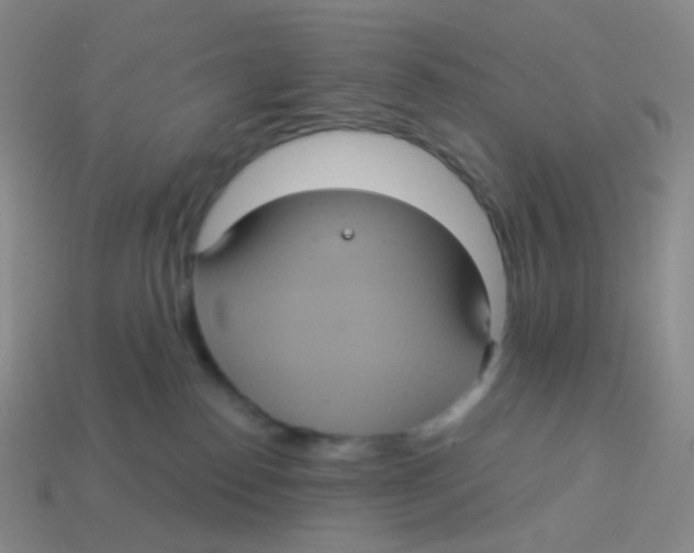 X0000113550186200910161442