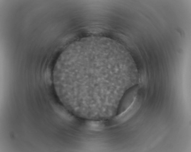 X0000113550187200910161442