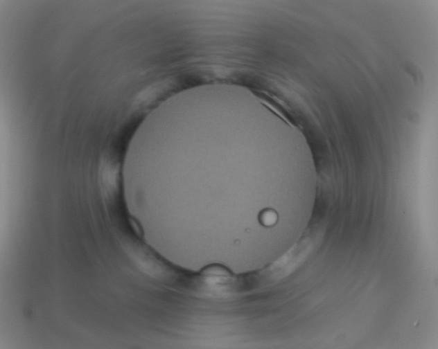 X0000113550188200910161442