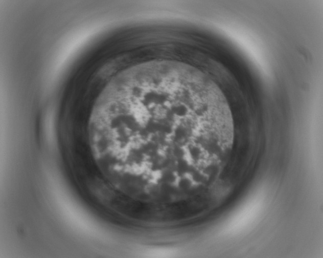 X0000113550189200910161442