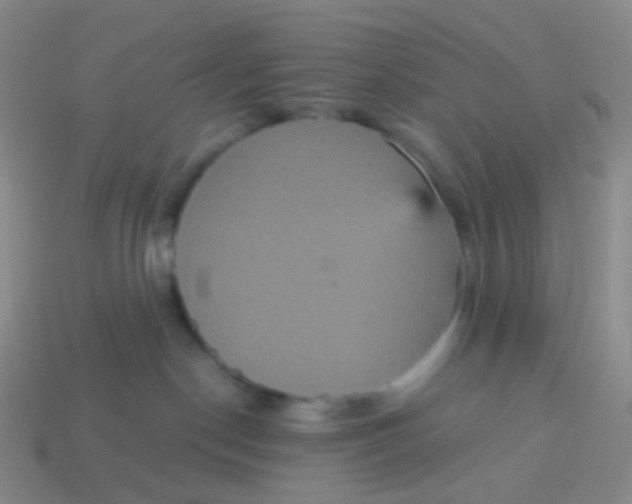 X0000113550190200910161442