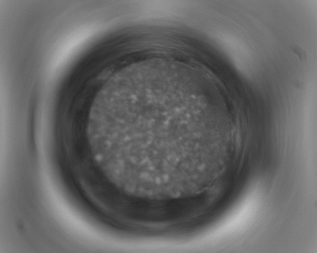 X0000113550191200910161442