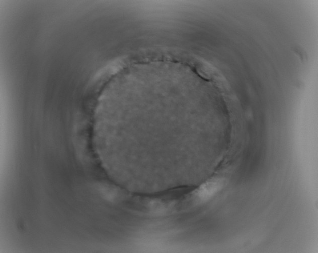 X0000113550192200910161442