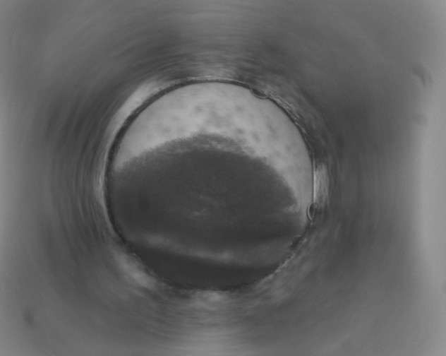X0000113550195200910161442