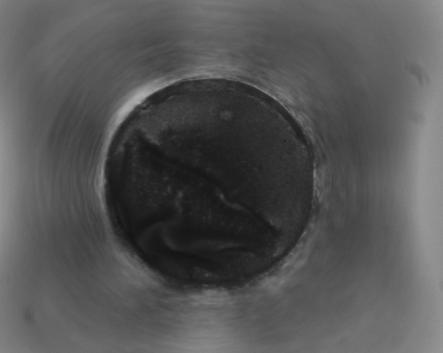 X0000113550196200910161441
