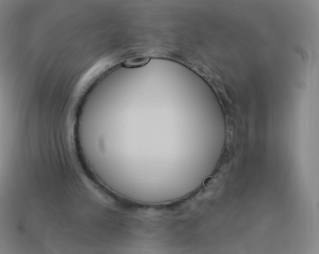 X0000113550197200910161441