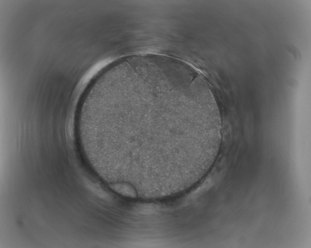 X0000113550200200910161441