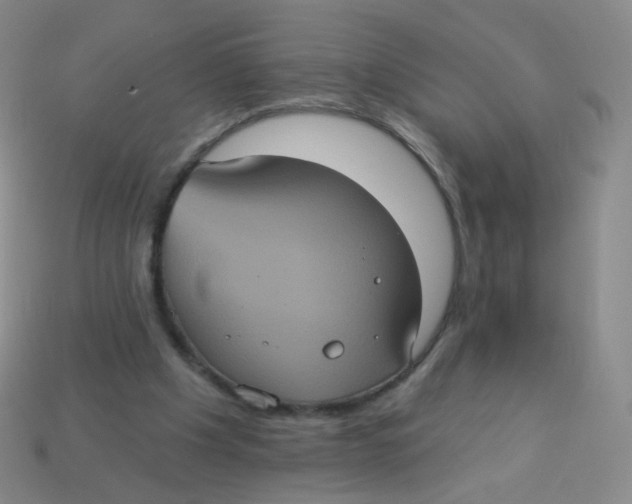 X0000113550201200910161441