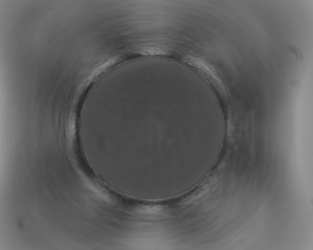 X0000113550202200910161441