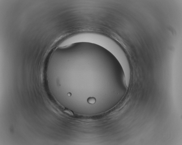 X0000113550203200910161441
