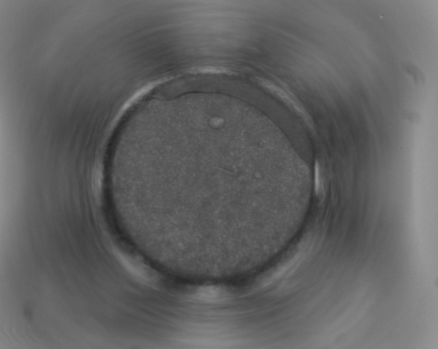 X0000113550204200910161441